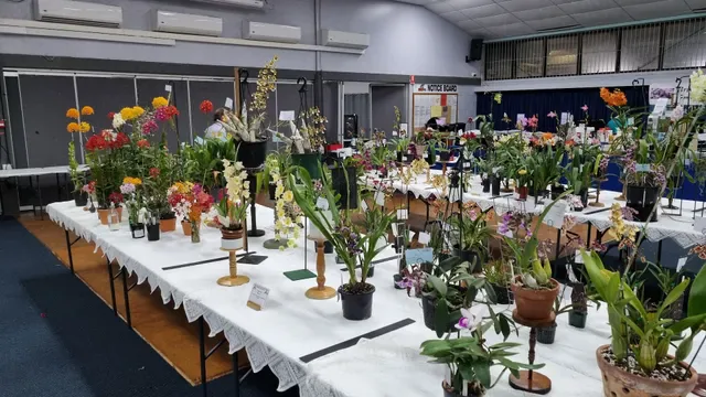 Birkdale Sports Club