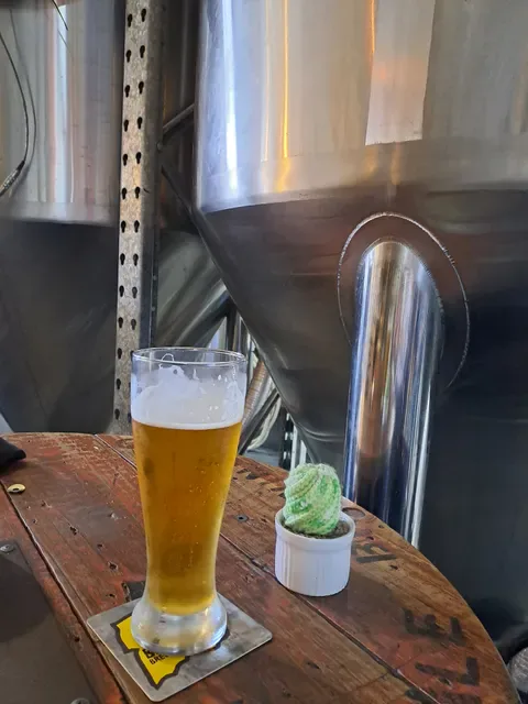 Alamo Beer Company