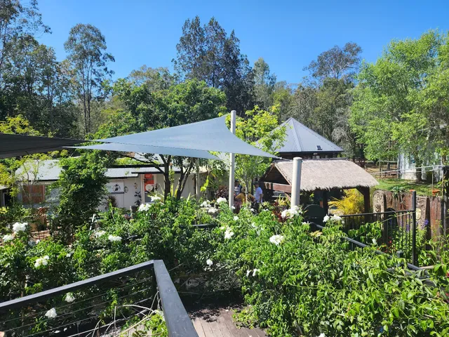 Café Lagarto