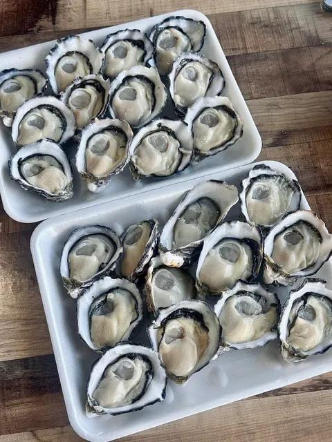 Costa's Seafood Cafe