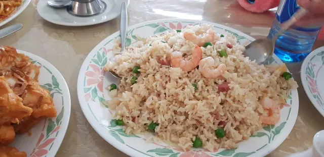Dynasty Chinese Take Away