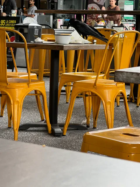 Hello Harry The Burger Joint (Strathpine)