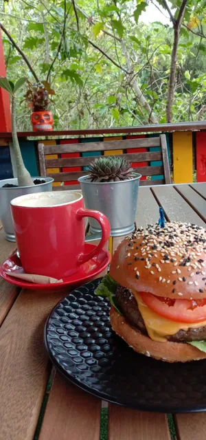 Latin Shack Cafe