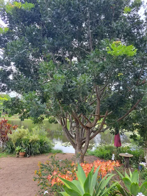 The Place 2 B