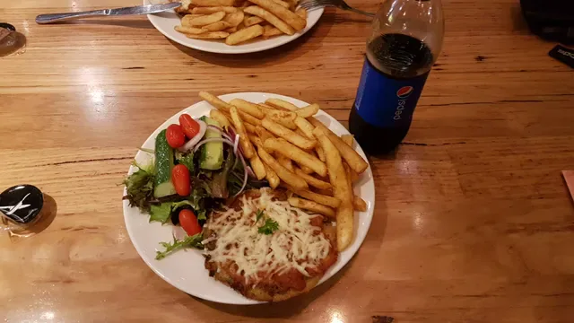 Schnitz Orion Springfield