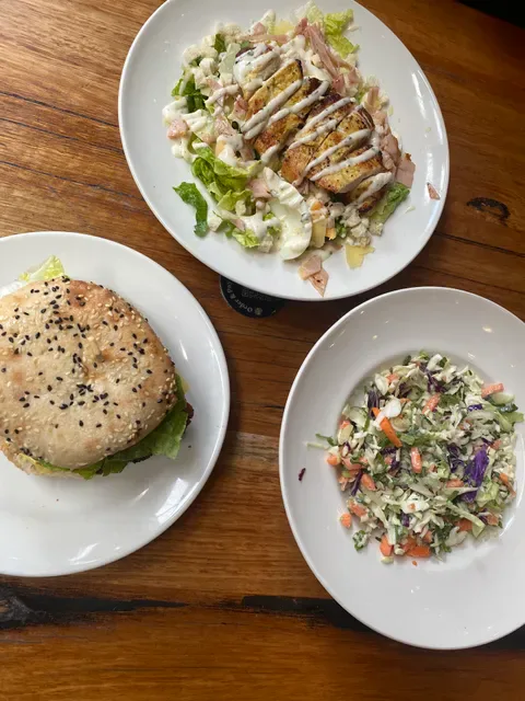 Schnitz Orion Springfield