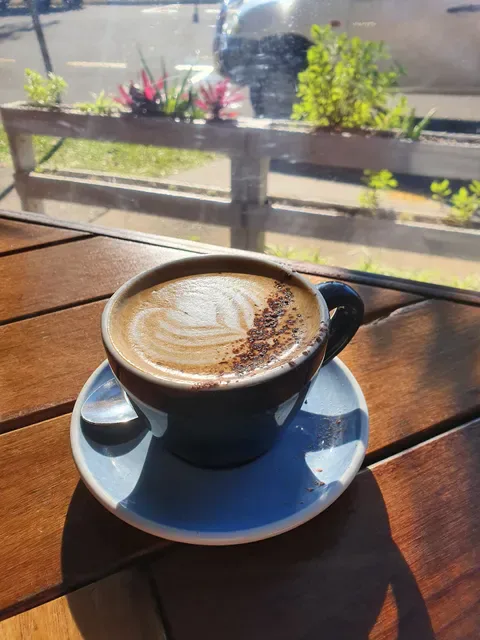 Gun Cotton Coffee Roasters