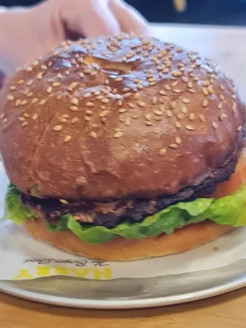 Hello Harry The Burger Joint (Birtinya)