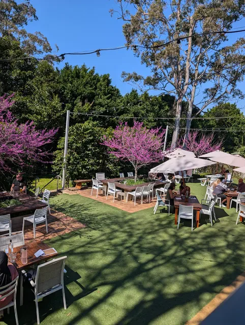 Tamborine Mountain Coffee Plantation