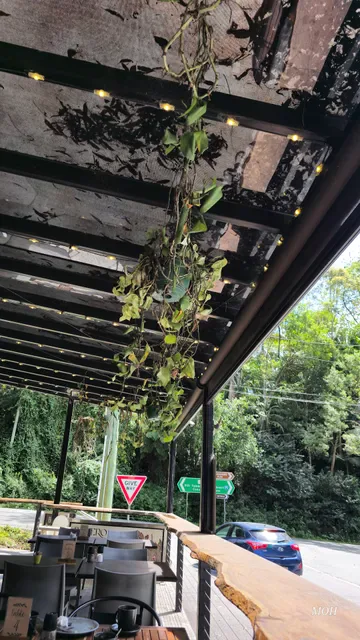 The Forest Cafe
