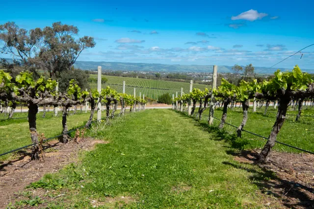 Beach Road Winery & Restaurant
