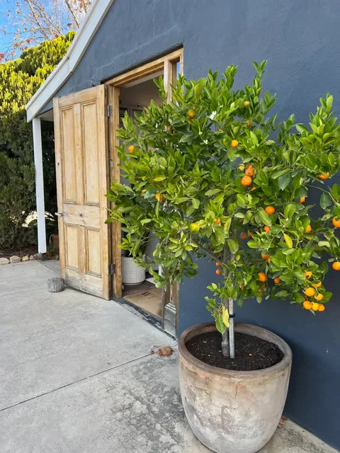 Beach Road Winery & Restaurant