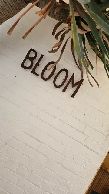 Bloom