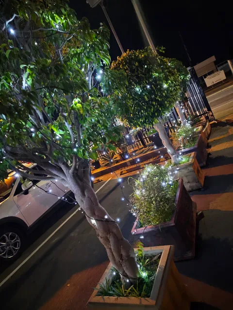 Bonsai Restaurant