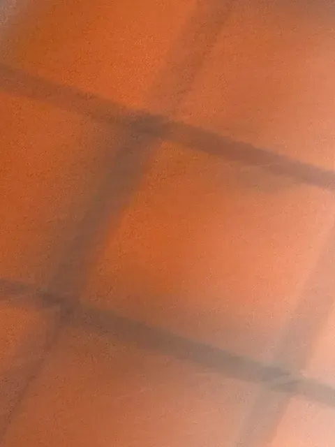 Chicken Chef