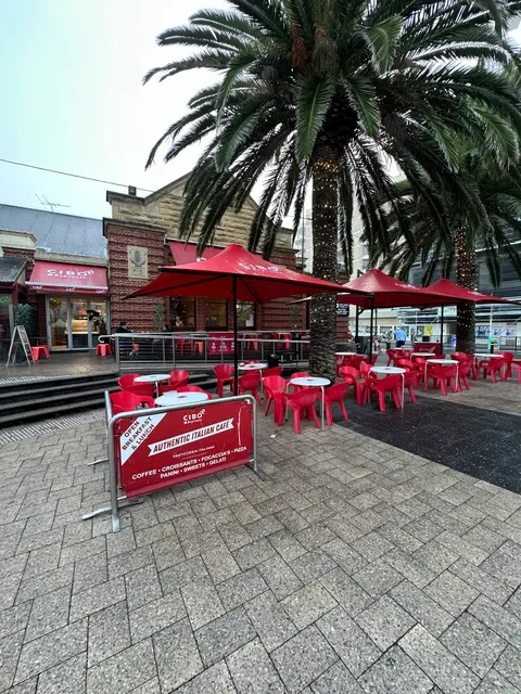Cibo Espresso