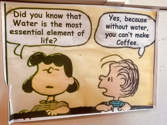 Coffee Branch