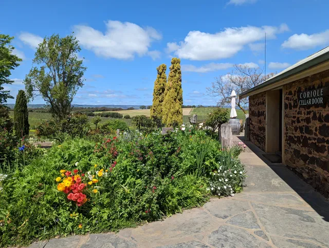 Coriole Vineyards