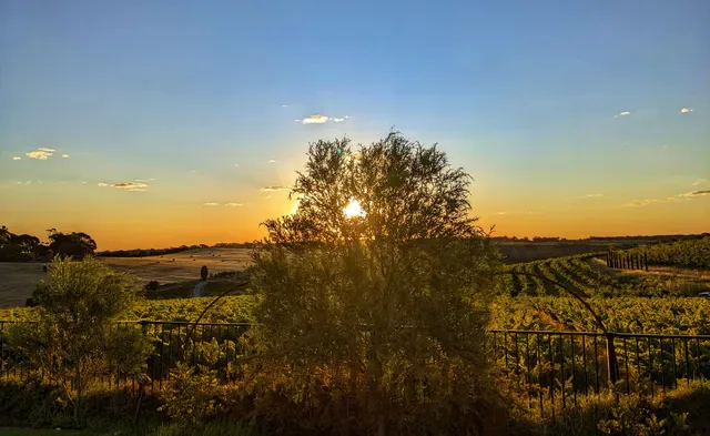Coriole Vineyards