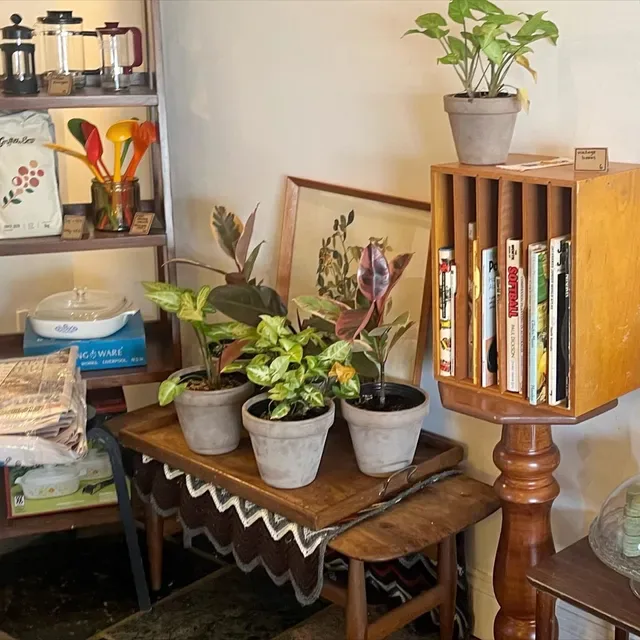 Daisy Coffee Shop