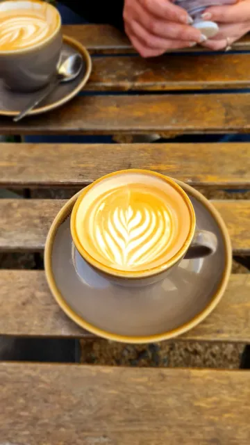 Daisy Coffee Shop