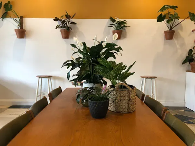 Daisy Coffee Shop