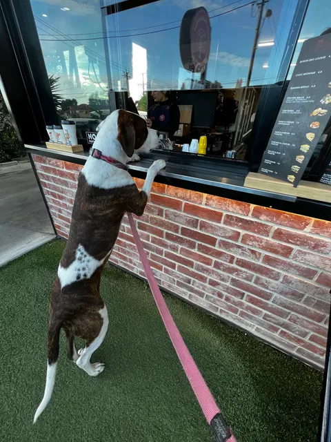First Things First Coffee