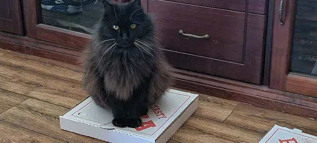 Gabriano Pizzeria