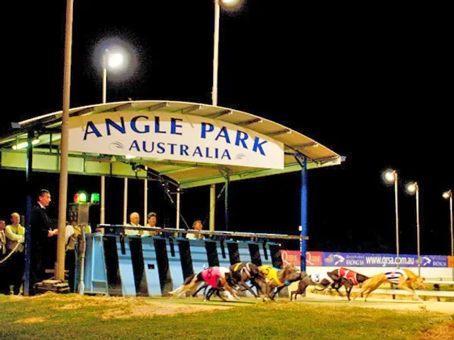 Greyhound Racing SA