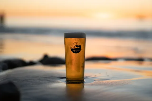 Kick Back Brewing