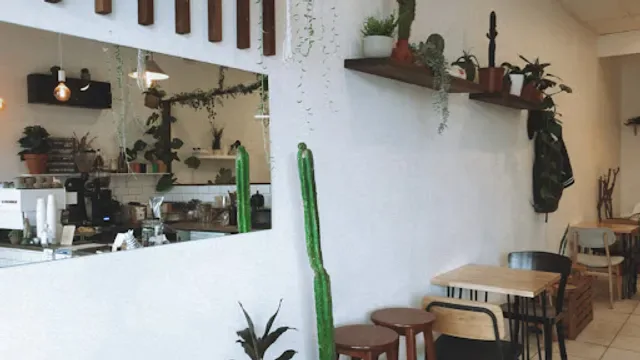 Latte Studio