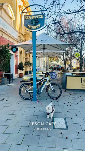 Lipson Cafe