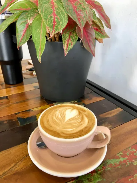 Nathaniel's Coffee and Panini
