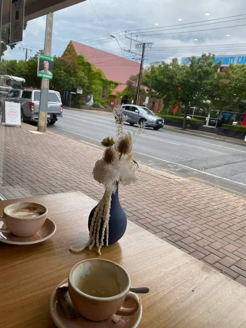 Nathaniel's Coffee and Panini