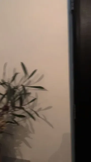 Osteria Oggi