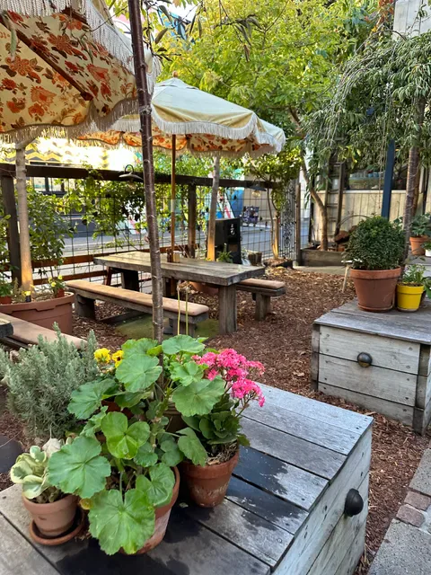 Peter Rabbit Cafe