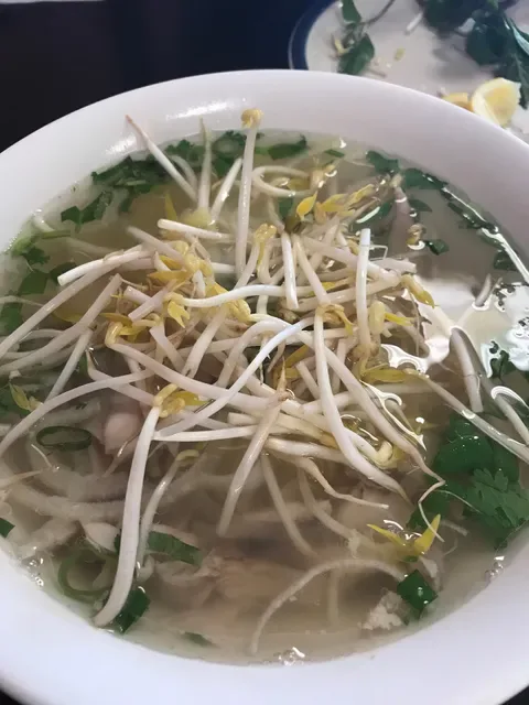 Pho Ever Yum