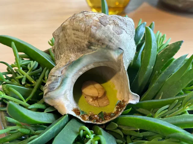 Restaurant Botanic