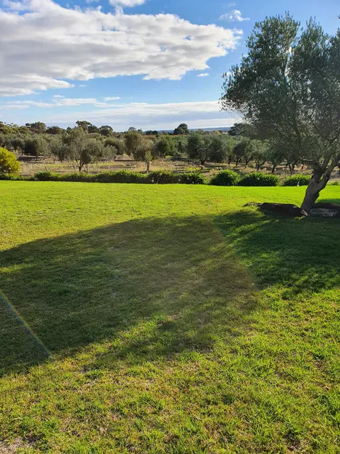 The Farm WIllunga