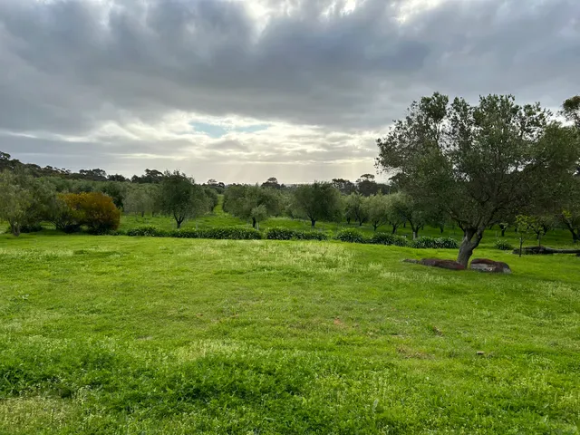The Farm WIllunga