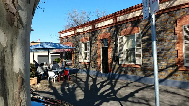 The Flying Fig