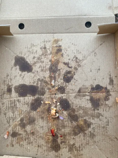 The Killer Tomato Pizzeria - Newton