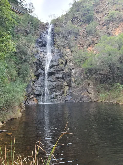 Utopia @ Waterfall Gully