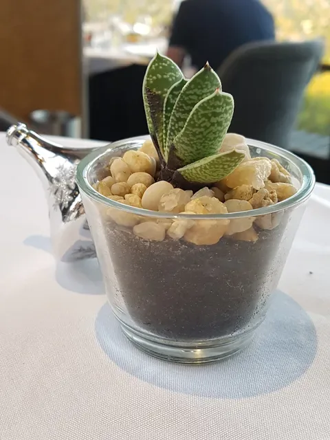 Windy Point Restaurant