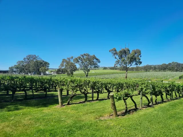 Woodstock Wine Estate