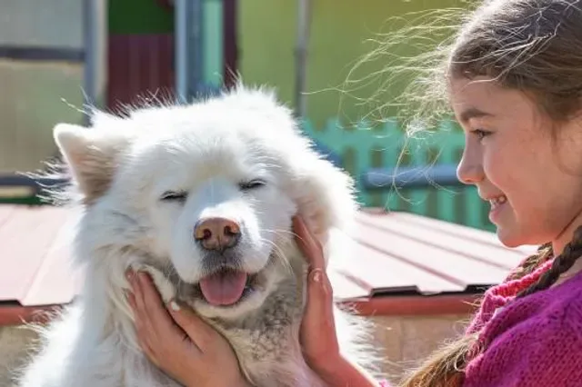 Smiling Samoyed Brewery