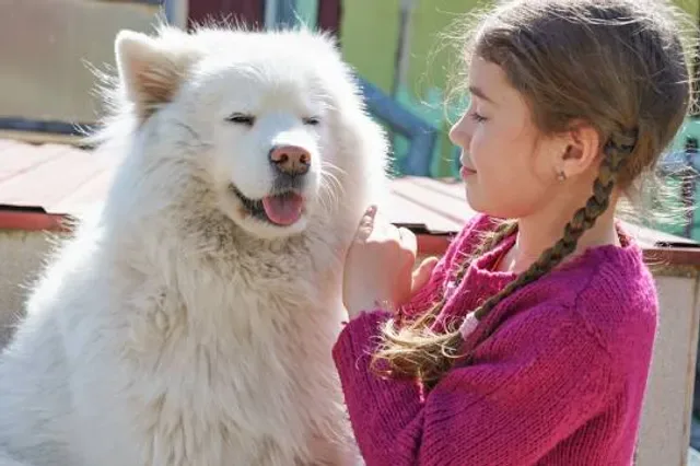 Smiling Samoyed Brewery