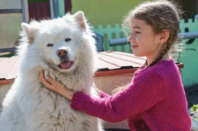 Smiling Samoyed Brewery