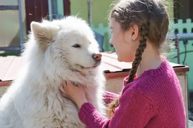 Smiling Samoyed Brewery