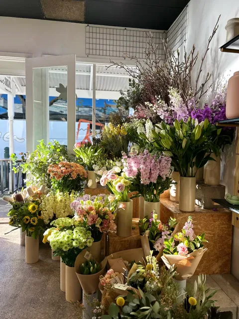 Fleur Social